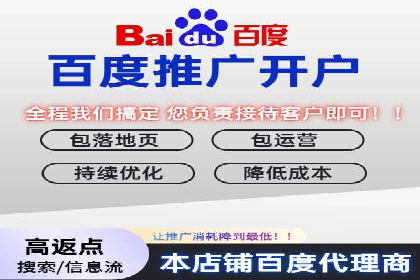百度SEO推广公司案例精选：助力企业快速崛起